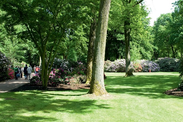 Rhododendronpark Bremen