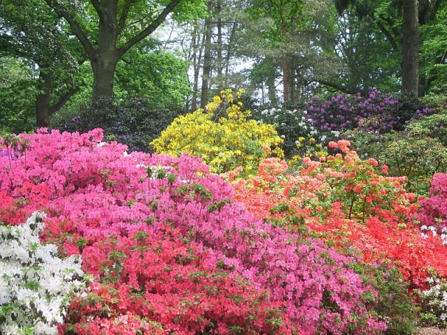 Rhododendronpark Bremen