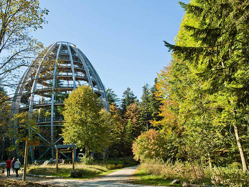 Familienurlaub Bayerischer Wald: Der 44 Meter hohe Turm des Baumwipfelpades im Nationalpark Neuschönau